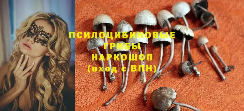 Галлюциногенные грибы Magic Shrooms  даркнет сайт  Тавда 